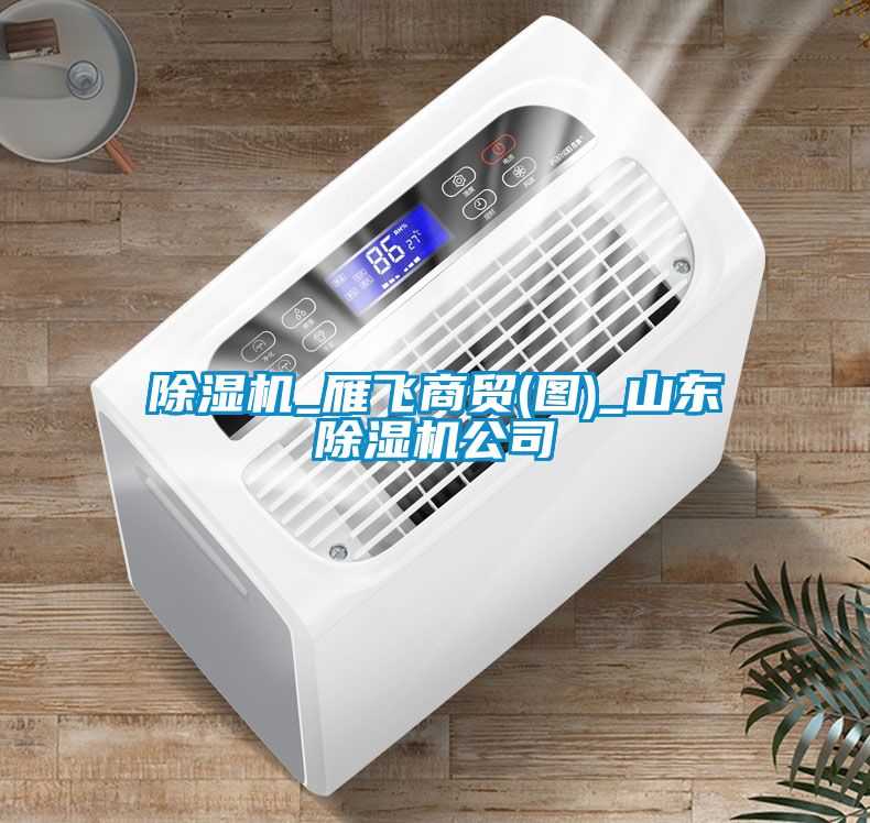 茄子视频懂你更多在线观看_雁飞商贸(图)_山东茄子视频懂你更多在线观看公司