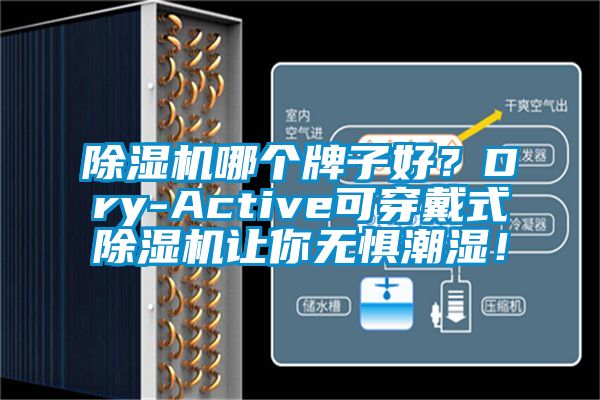 茄子视频懂你更多在线观看哪个牌子好？Dry-Active可穿戴式茄子视频懂你更多在线观看让你无惧潮湿！