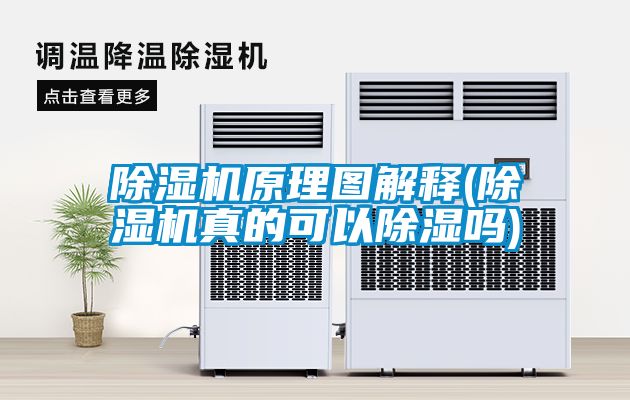 茄子视频懂你更多在线观看原理图解释(茄子视频懂你更多在线观看真的可以除湿吗)