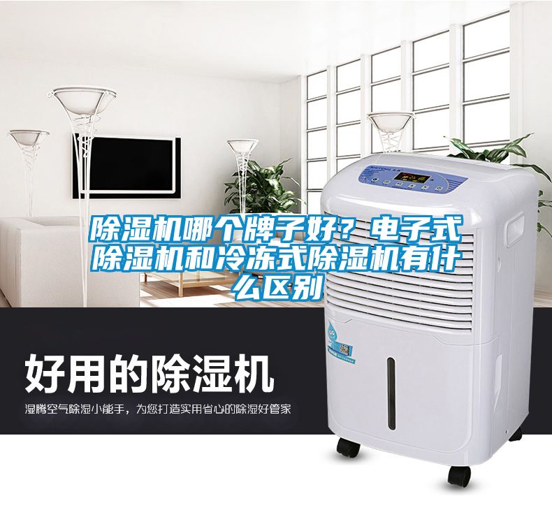 茄子视频懂你更多在线观看哪个牌子好？电子式茄子视频懂你更多在线观看和冷冻式茄子视频懂你更多在线观看有什么区别