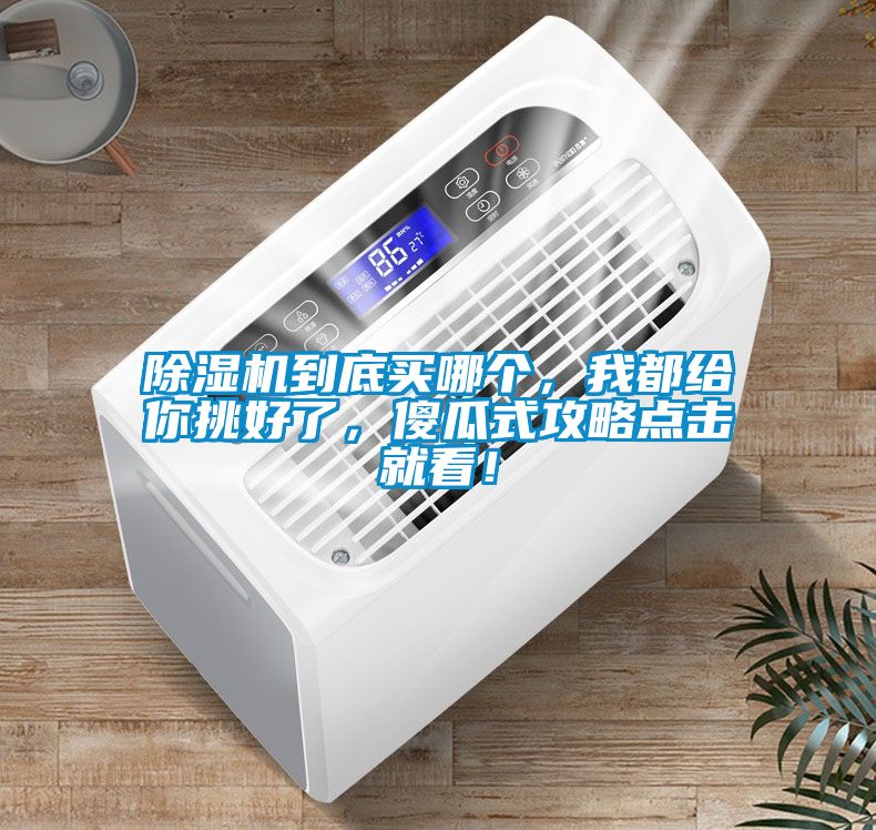 茄子视频懂你更多在线观看到底买哪个，我都给你挑好了，傻瓜式攻略点击就看！