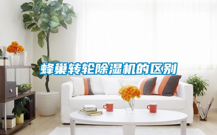 蜂巢转轮茄子视频懂你更多在线观看的区别
