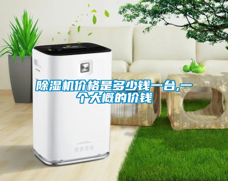 茄子视频懂你更多在线观看价格是多少钱一台,一个大概的价钱