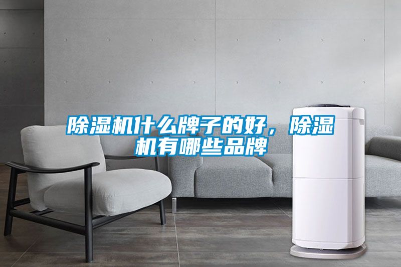 茄子视频懂你更多在线观看什么牌子的好，茄子视频懂你更多在线观看有哪些品牌