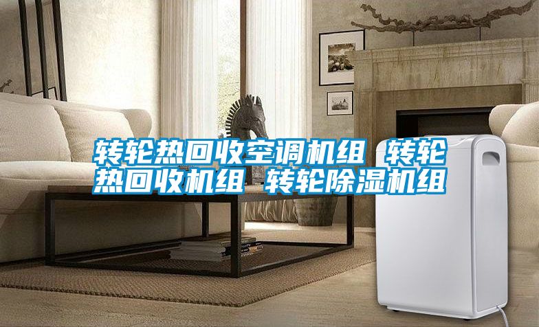 转轮热回收空调机组 转轮热回收机组 转轮茄子视频懂你更多在线观看组