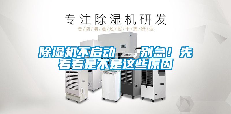 茄子视频懂你更多在线观看不启动   别急！先看看是不是这些原因