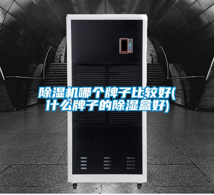 茄子视频懂你更多在线观看哪个牌子比较好(什么牌子的除湿盒好)