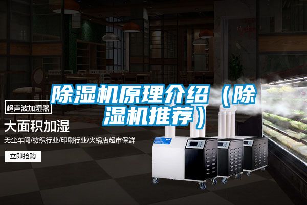 茄子视频懂你更多在线观看原理介绍（茄子视频懂你更多在线观看推荐）