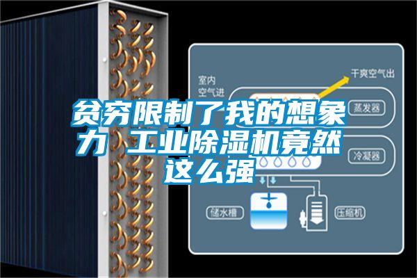 贫穷限制了我的想象力 工业茄子视频懂你更多在线观看竟然这么强
