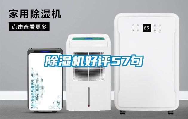 茄子视频懂你更多在线观看好评57句