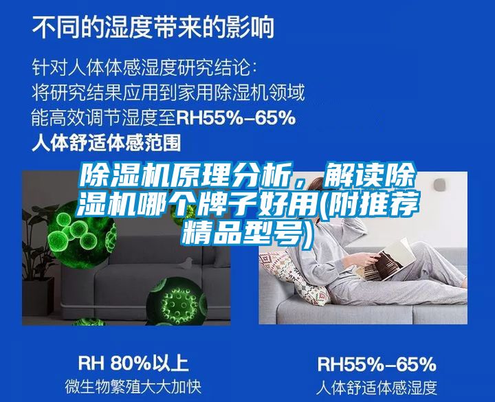 茄子视频懂你更多在线观看原理分析，解读茄子视频懂你更多在线观看哪个牌子好用(附推荐精品型号)