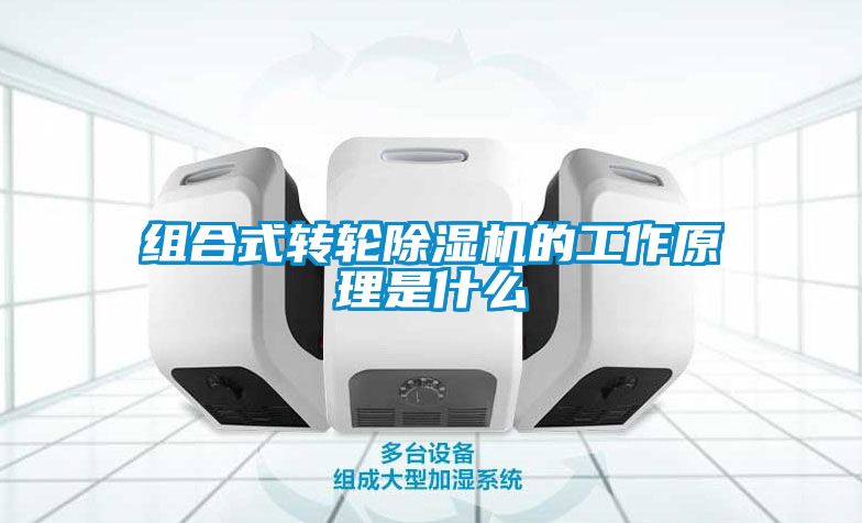组合式转轮茄子视频懂你更多在线观看的工作原理是什么