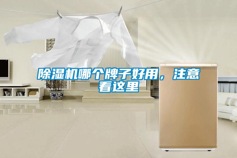 茄子视频懂你更多在线观看哪个牌子好用，注意看这里