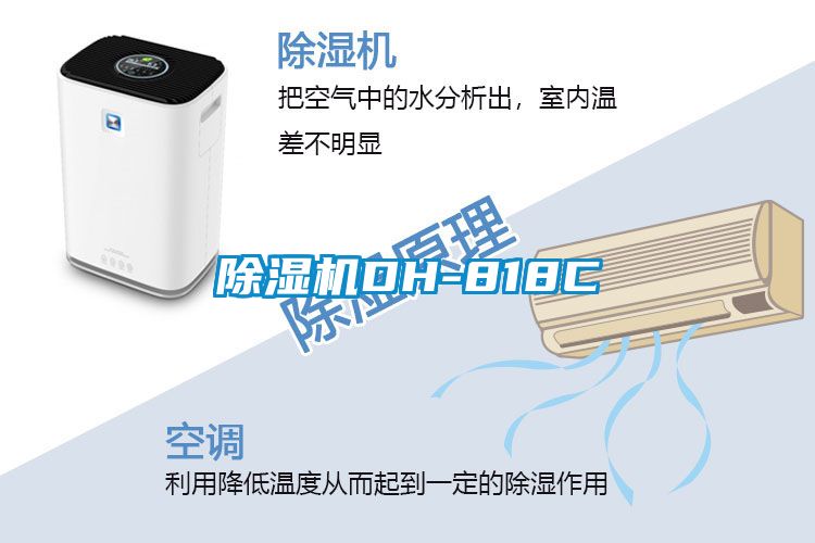 茄子视频懂你更多在线观看DH-818C