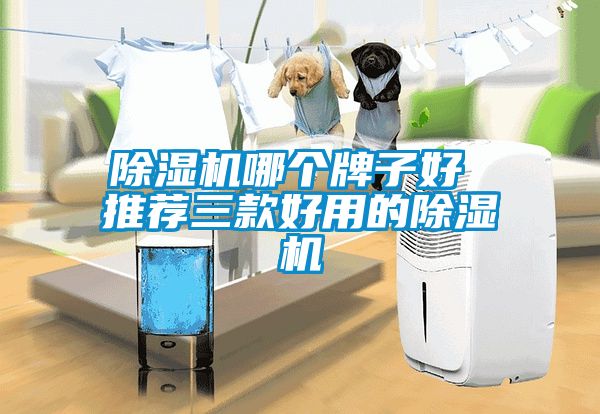 茄子视频懂你更多在线观看哪个牌子好 推荐三款好用的茄子视频懂你更多在线观看