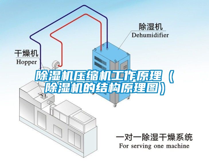 茄子视频懂你更多在线观看压缩机工作原理（茄子视频懂你更多在线观看的结构原理图）