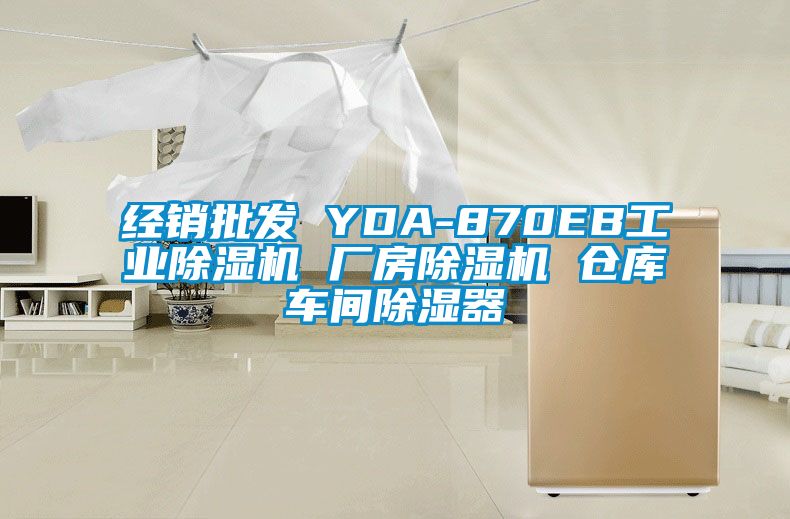 经销批发 YDA-870EB工业茄子视频懂你更多在线观看 厂房茄子视频懂你更多在线观看 仓库车间除湿器
