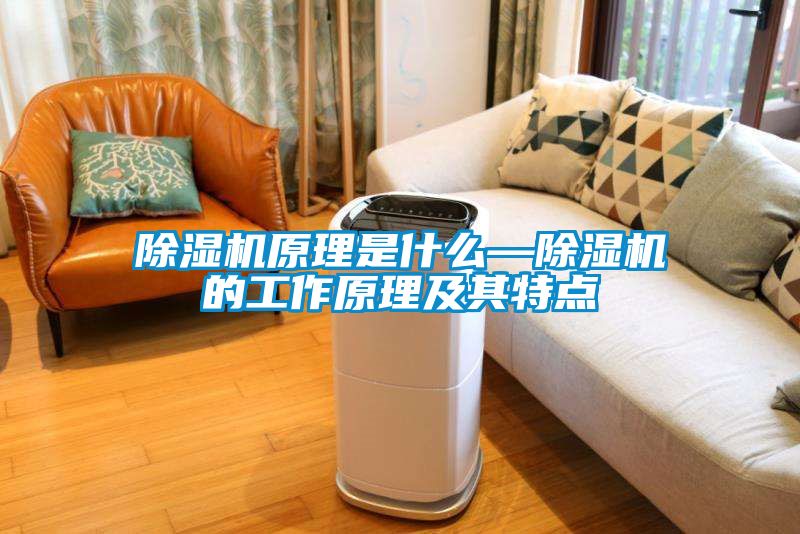 茄子视频懂你更多在线观看原理是什么—茄子视频懂你更多在线观看的工作原理及其特点