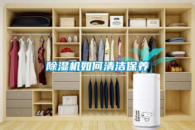 茄子视频懂你更多在线观看如何清洁保养