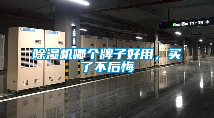 茄子视频懂你更多在线观看哪个牌子好用，买了不后悔