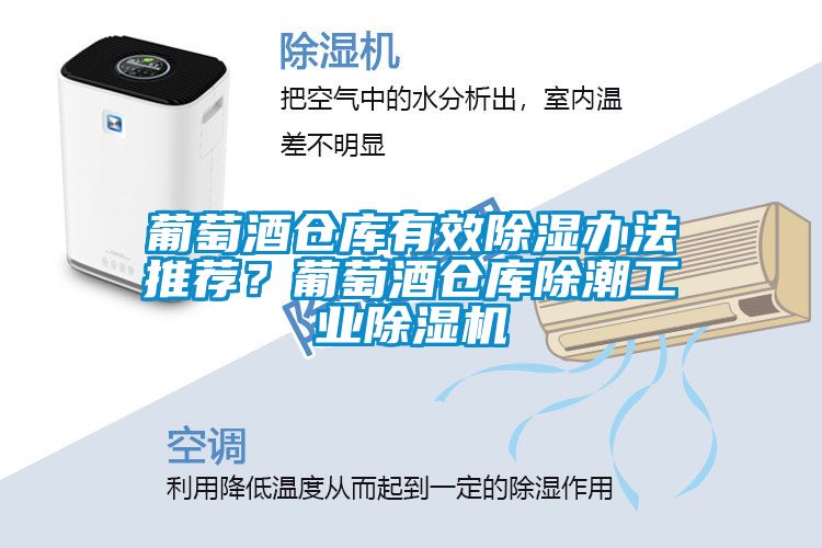 葡萄酒仓库有效除湿办法推荐？葡萄酒仓库除潮工业茄子视频懂你更多在线观看