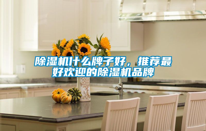 茄子视频懂你更多在线观看什么牌子好，推荐最好欢迎的茄子视频懂你更多在线观看品牌