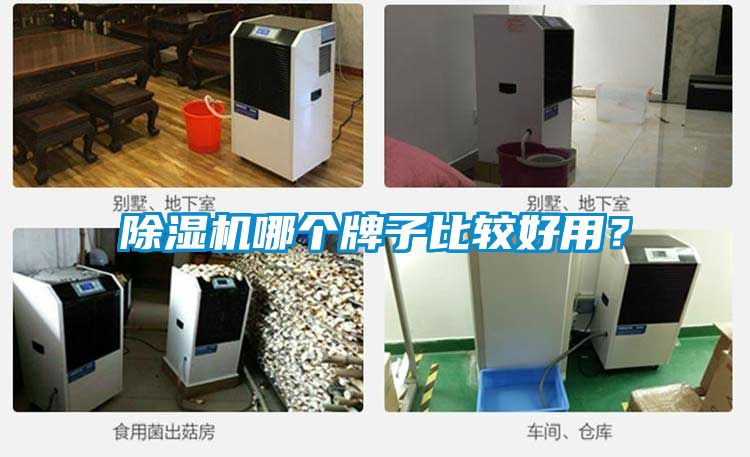 茄子视频懂你更多在线观看哪个牌子比较好用？