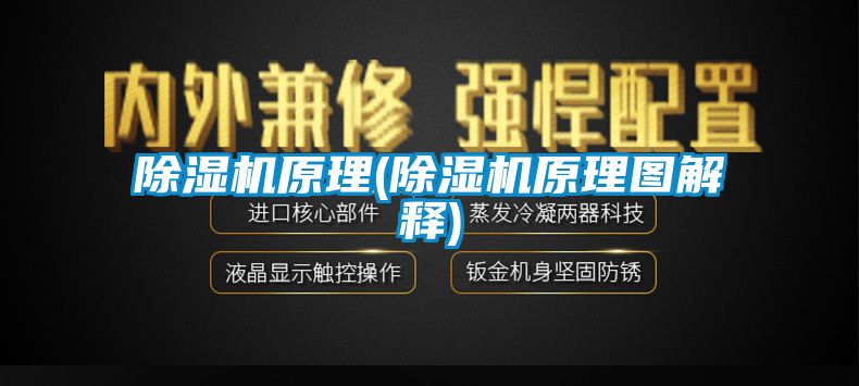 茄子视频懂你更多在线观看原理(茄子视频懂你更多在线观看原理图解释)