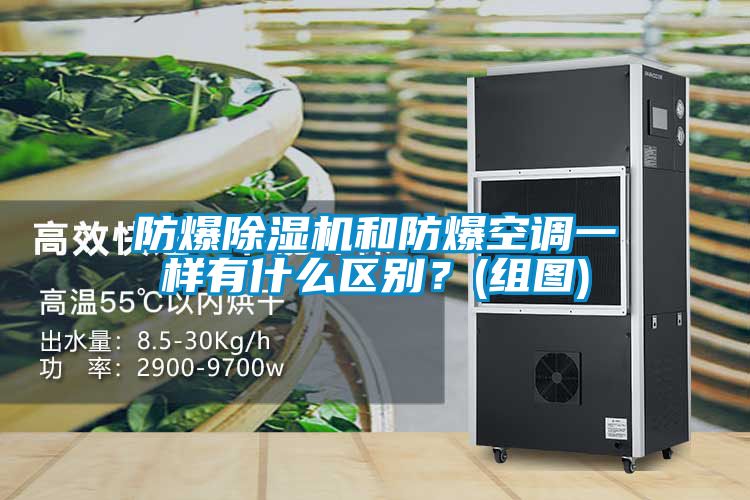防爆茄子视频懂你更多在线观看和防爆空调一样有什么区别？(组图)