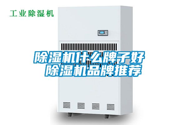 茄子视频懂你更多在线观看什么牌子好 茄子视频懂你更多在线观看品牌推荐