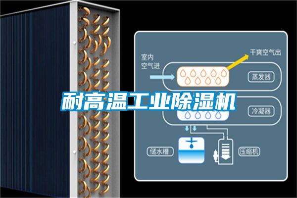耐高温工业茄子视频懂你更多在线观看