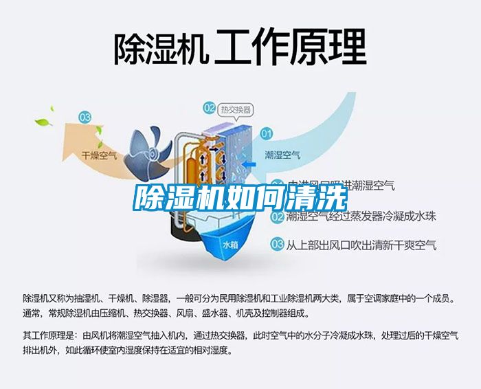 茄子视频懂你更多在线观看如何清洗