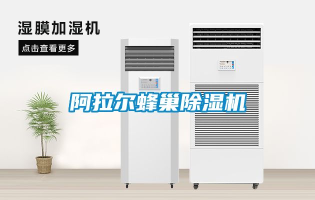 阿拉尔蜂巢茄子视频懂你更多在线观看
