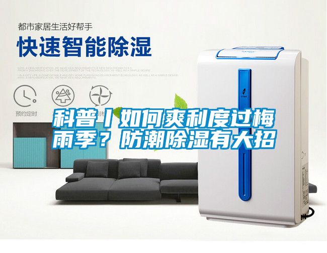 科普丨如何爽利度过梅雨季？防潮除湿有大招