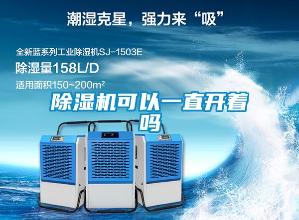 茄子视频懂你更多在线观看可以一直开着吗