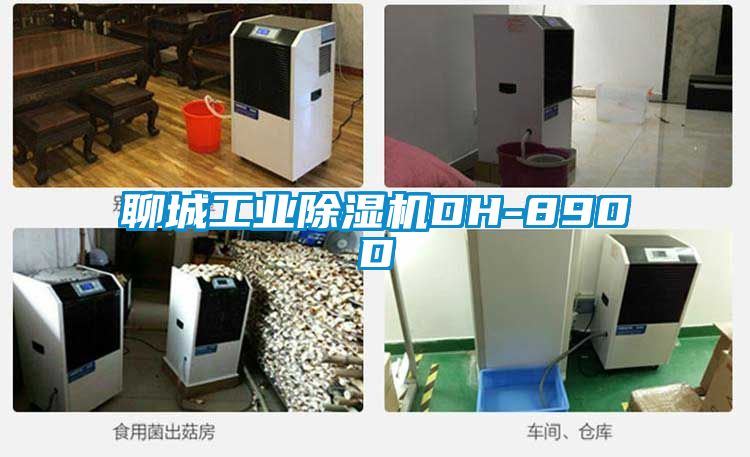 聊城工业茄子视频懂你更多在线观看DH-890D