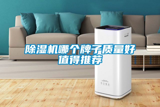 茄子视频懂你更多在线观看哪个牌子质量好值得推荐