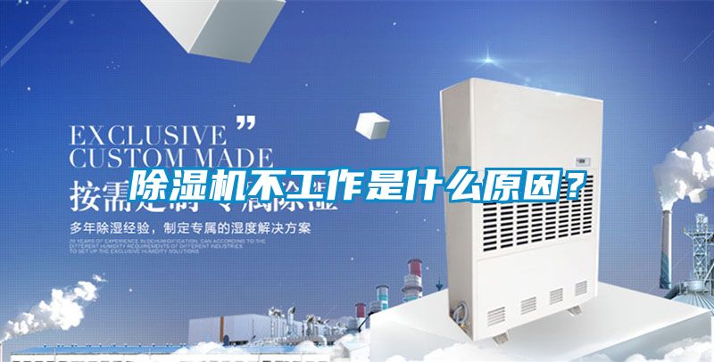 茄子视频懂你更多在线观看不工作是什么原因？