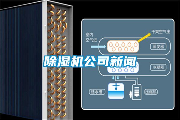 茄子视频懂你更多在线观看公司新闻