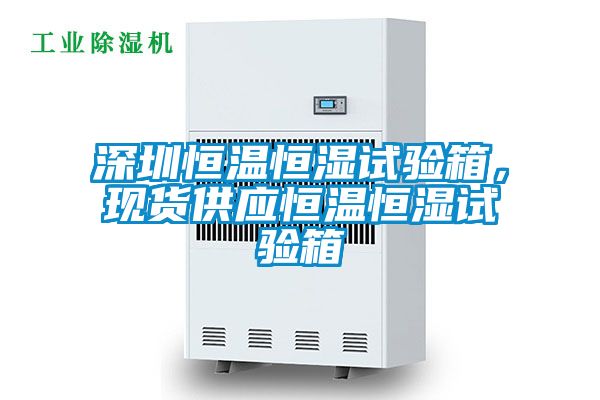 深圳恒温恒湿试验箱，现货供应恒温恒湿试验箱