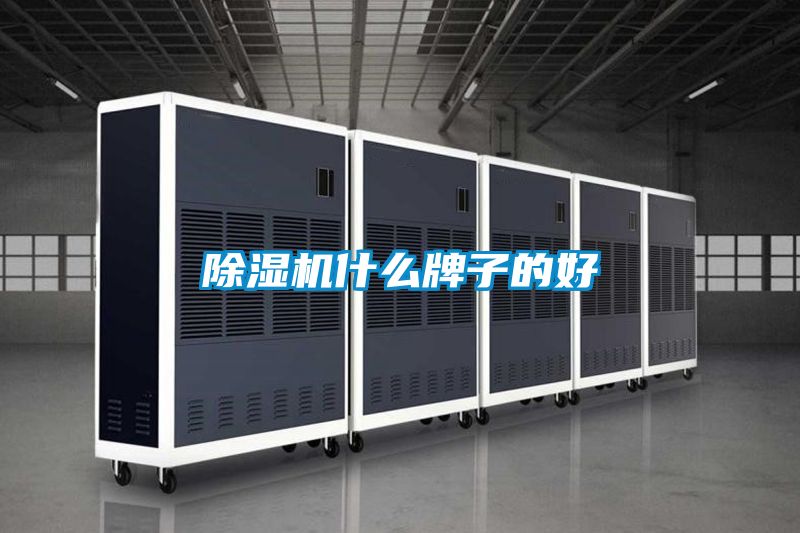 茄子视频懂你更多在线观看什么牌子的好