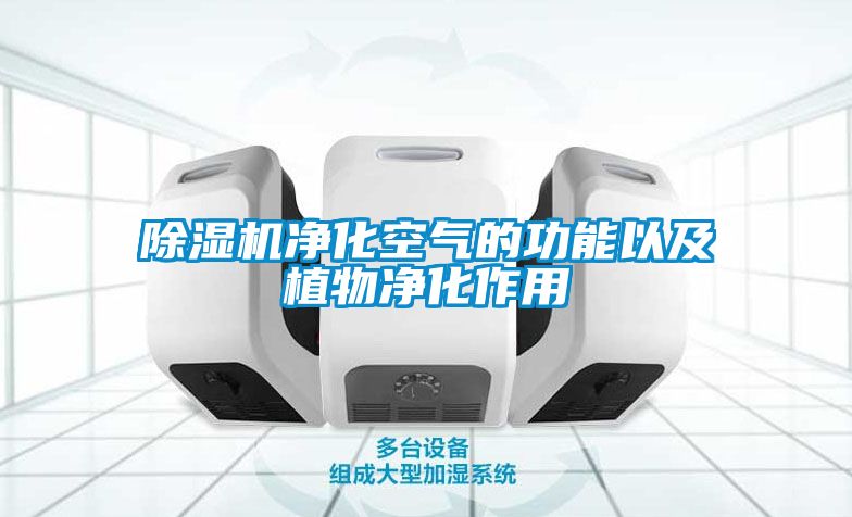 茄子视频懂你更多在线观看净化空气的功能以及植物净化作用