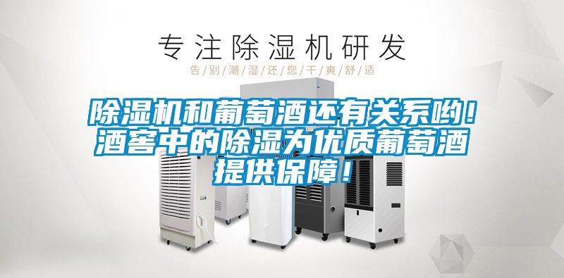 茄子视频懂你更多在线观看和葡萄酒还有关系哟！酒窖中的除湿为优质葡萄酒提供保障！