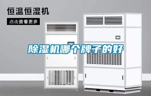 茄子视频懂你更多在线观看哪个牌子的好
