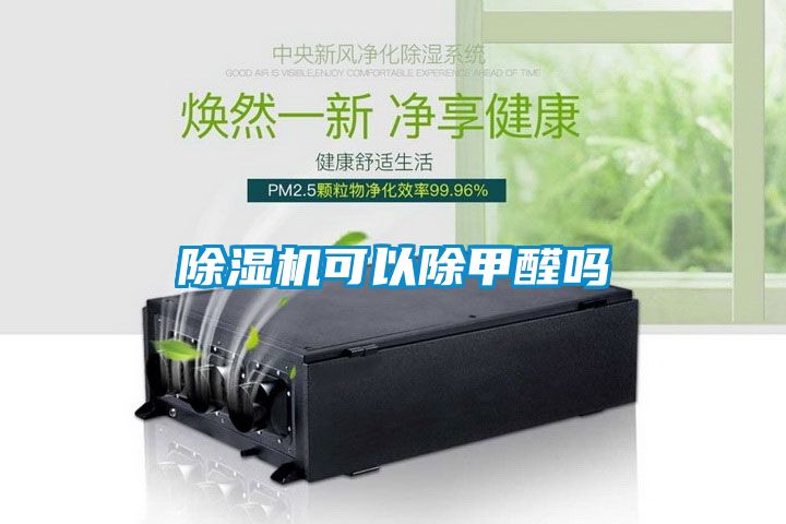 茄子视频懂你更多在线观看可以除甲醛吗