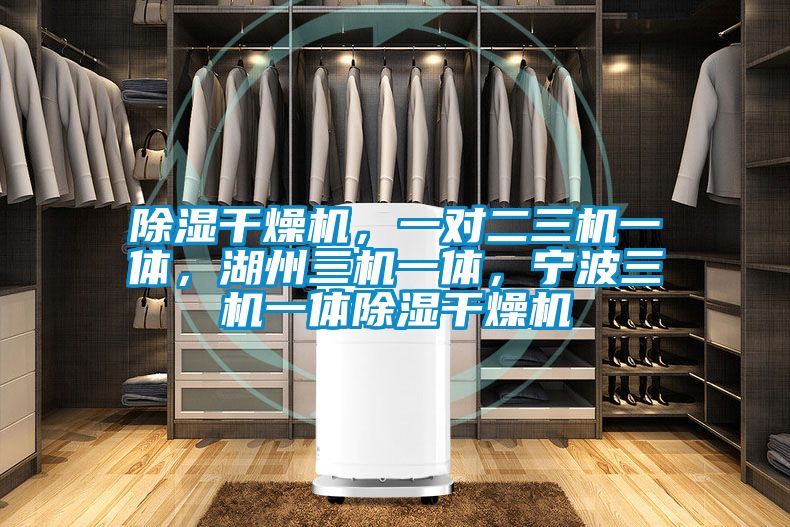 除湿干燥机，一对二三机一体，湖州三机一体，宁波三机一体除湿干燥机