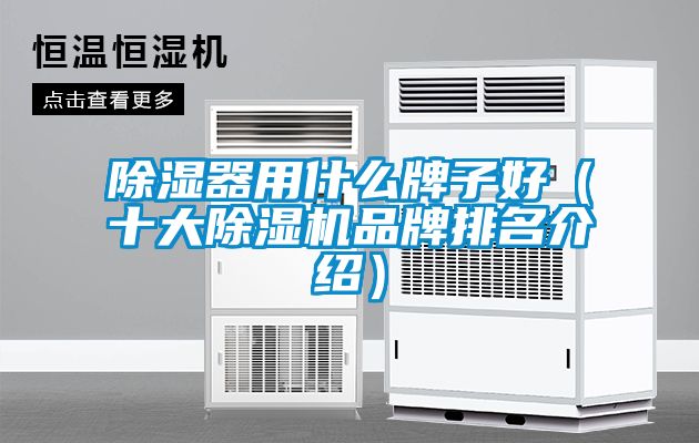 除湿器用什么牌子好（十大茄子视频懂你更多在线观看品牌排名介绍）
