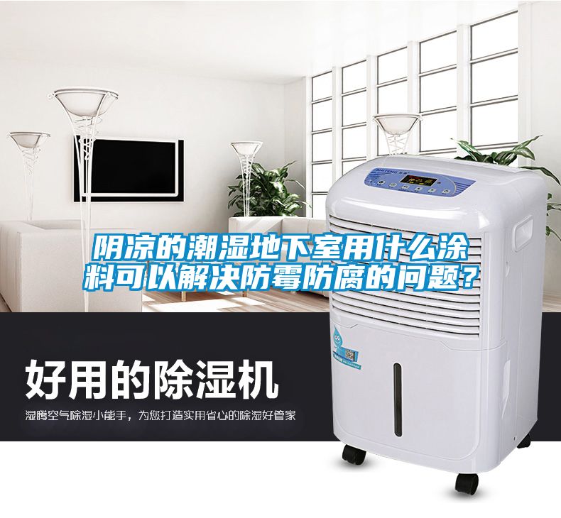 阴凉的潮湿地下室用什么涂料可以解决防霉防腐的问题？