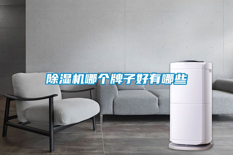 茄子视频懂你更多在线观看哪个牌子好有哪些
