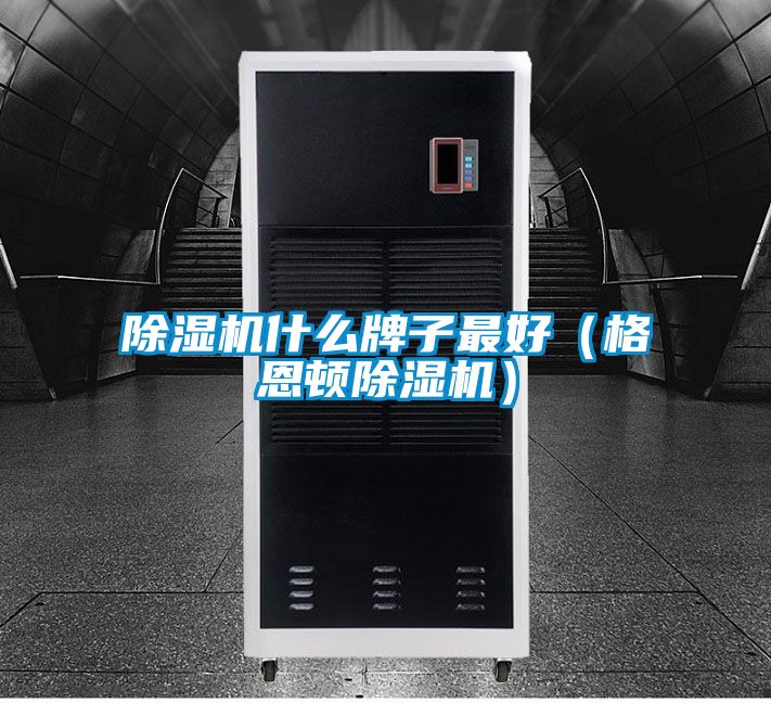 茄子视频懂你更多在线观看什么牌子最好（格恩顿茄子视频懂你更多在线观看）